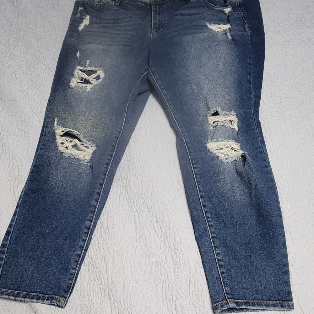 Lane Bryant Distressed Skinny Jeans - Blue Size 22